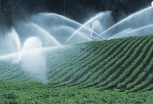 FRESH COAST CLIMATE SOLUTIONS WATER STEWARDSHIP